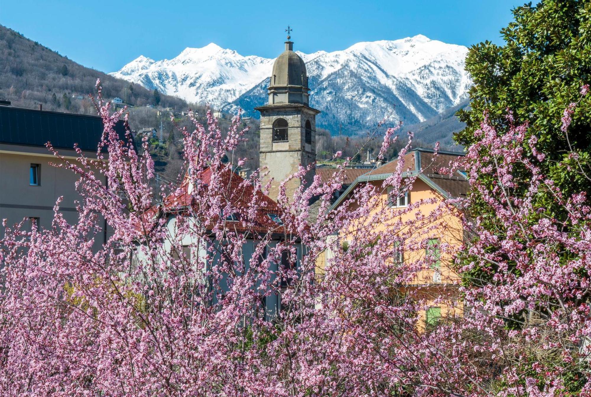 Bed & Breakfast Tiffany Domodossola Exteriör bild